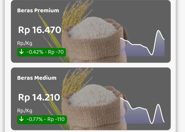 Update Statistik: Koreksi Harga Pangan Sulsel Menurut Bapanas