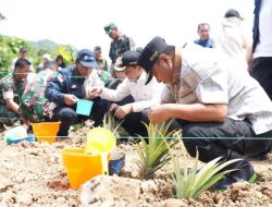 Galakkan Tanaman Hortikultura, Pj Gubernur Dorong Produksi Nanas Hingga 1.000 Hektare