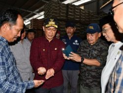 Pemprov Sulbar Tinjau Penggilingan Padi, Pastikan Pasokan dan Harga Beras Aman