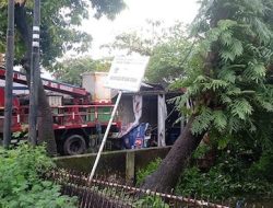 Pohon Tumbang di Makassar Timpah Rumah Warga, Kerugian Capai Rp 5 Juta