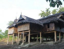 Pengalaman Spiritual Warga Tongkonan Enrekang di Masjid Tua Tondon