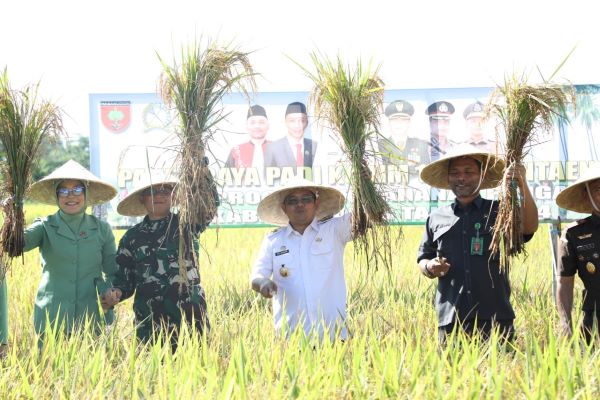 Penuhi Kebutuhan Pokok Warga, Pj Bupati Bantaeng Hadiri Panen Raya
