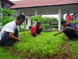 Sentra Wirajaya Kementerian Sosial Makassar Melatih ODGJ Mandiri dengan Berkebun