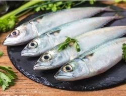 Jarang Disadari, Ini Manfaat Ikan Kembung Bagi Kesehatan