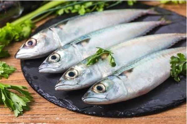 Jarang Disadari, Ini Manfaat Ikan Kembung Bagi Kesehatan