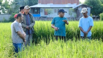 Dorong Budidaya Benih Padi, Pj Bupati Minta Petani Gunakan Teknologi Penangkaran