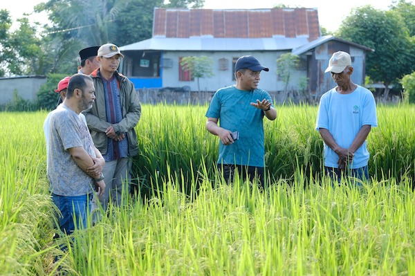 Dorong Budidaya Benih Padi, Pj Bupati Minta Petani Gunakan Teknologi Penangkaran