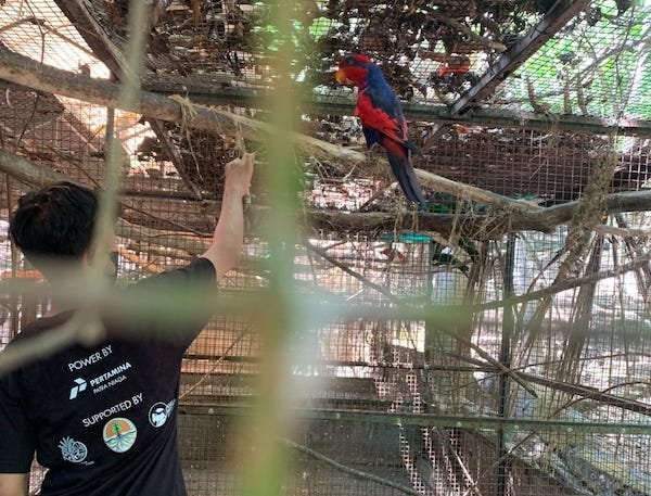 Selamatkan Sampiri, Pertamina Bitung-Mike Sabet Local Hero Inspiration Award 2024