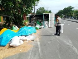 Truk Pengangkut 10 Ton Gabah Terguling di Maros
