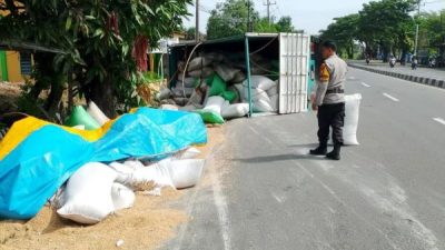 Truk Pengangkut 10 Ton Gabah Terguling di Maros