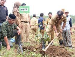 Tidak Hanya Bibit Unggul, Petani Bulukumba Juga Dibantu Pembersihan Lahan