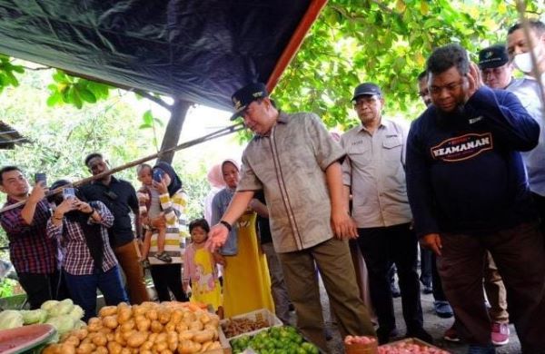 Pj Sekda Gowa Dampingi Pj Gubernur Cek Harga dan Ketersediaan Pangan