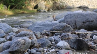 Menyelamatkan Hutan CAP Cycloop Jayapura Dari Perambahan