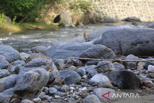 Menyelamatkan Hutan CAP Cycloop Jayapura Dari Perambahan