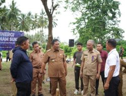 Komoditas Sukun dan Pisang Buka Peluang Baru Bagi Petani Sulbar