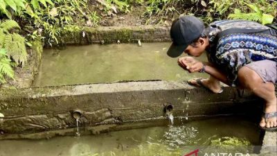 Menjaga Gunung Hapuk Sebagai Sumber Mata Air Bagi Suku Dayak Meratus