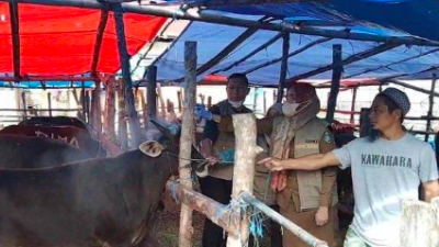 Jelang Idul Adha, Dinas Peternakan Sulsel Keluarkan Pesan Pengawasan