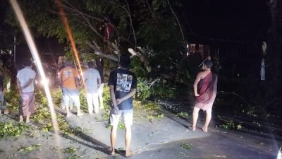 Akibat Pohon Tumbang, Jalan Poros Jeneponto Bantaeng Macet