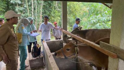 Jelang Hari Raya Idul Adha, Penyakit Hewan Mengalami Penurunan