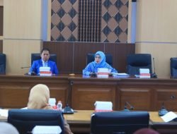Ketua Pansus Rismawati Sebut Ranperda Kesehatan Ibu dan Anak Urgent