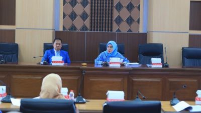 Ketua Pansus Rismawati Sebut Ranperda Kesehatan Ibu dan Anak Urgent