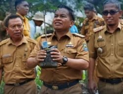 Peringati Hari Lingkungan Sedunia, 350 Pohon Ditanam Pemkab Jeneponto