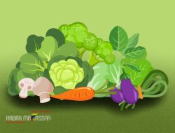 Rekomendasi Sayuran Untuk Diet, Lengkap dengan Resep