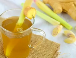 Manfaat Minum Air Rebusan Serei Tiap Pagi