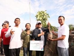 Hari Lingkungan Hidup, Pemkab Bantaeng Tanam 1000 Pohon