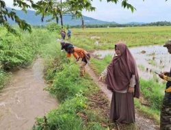 Selesaikan Masalah Petani, Dinas TPHbun Inisiasi Program Gernang DPI