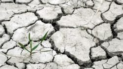 El Nino Bertahan, Potensi Hujan di Indonesia Semakin Berkurang