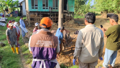 Pemkab Maros Gencar Periksa Kesehatan Hewan Kurban