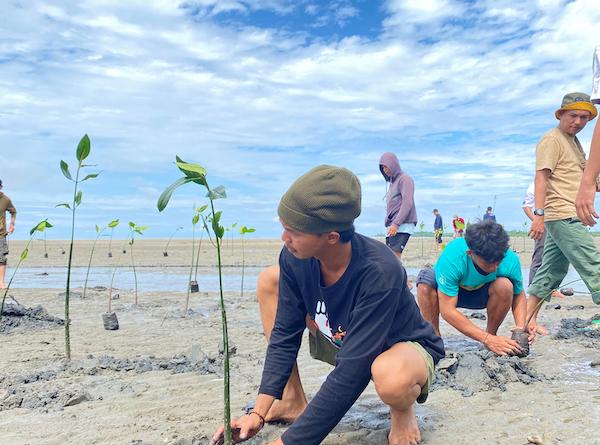 Hari Mangrove Sedunia, Semangrove Tanam Ratusan Bibit di Pesisir Lutim