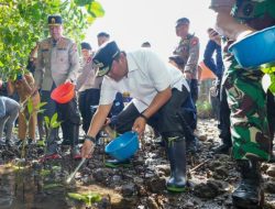 Wujudkan Sulbar Sebagai Pengekspor Kepiting, Ribuan Benih Ditebar di Kalukku