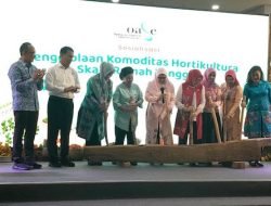 Pemprov Sulsel Galakkan Program Pangan Lestari