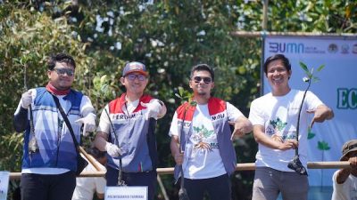 Lestarikan Ekosistem Pesisir, Pertamina Sulawesi Tanam Mangrove di Parangloe Makassar