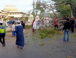 1 Unit  Mobil Tertimpa Pohon di Jeneponto