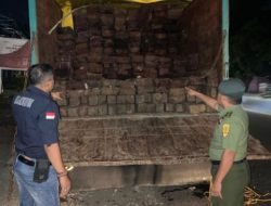 Gakkum KLHK Tangkap Tersangka Peredaran Kayu Ilegal di Bantaeng