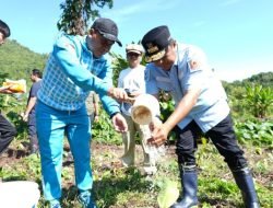 Pj Bahtiar Ingin Jadikan Sukun Sumber Gizi Alternatif di Sulbar
