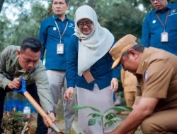 Peringati Hari Statistik Nasional, BPS Sulbar Tanam Sukun