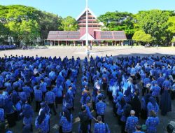 Pemerintah Tunda Pengangkatan CASN 2024, Ini Alasannya!