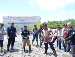 HUT Sulbar, Pj Bahtiar Bersama Forkopimda Kompak Galakkan Penanaman Mangrove