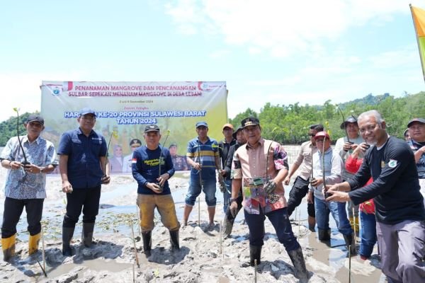 HUT Sulbar, Pj Bahtiar Bersama Forkopimda Kompak Galakkan Penanaman Mangrove