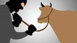 Polisi Ringkus Komplotan Pencuri Hewan Ternak di Takalar