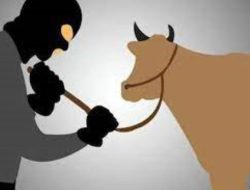 ASN Dibebaskan Setelah Mencuri Ternak di Takalar, Ini Kata Polsek Mangarabombang