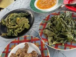 Manfaat Daun Singkong Hingga Efek Samping, Tak Dianjurkan Bagi Penderita Hipertensi