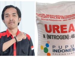Puluhan Petani di Jeneponto Keluhkan Harga Pupuk di Atas HET