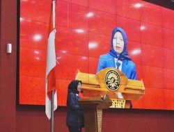 Hajriana Ashadi, Perempuan Pertama Ketua AMSI Wilayah Indonesia Timur, Berikut Profilnya!