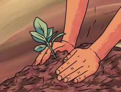 6,6 Juta Pohon Ditanam di Sulsel Pada Era Prof Zudan