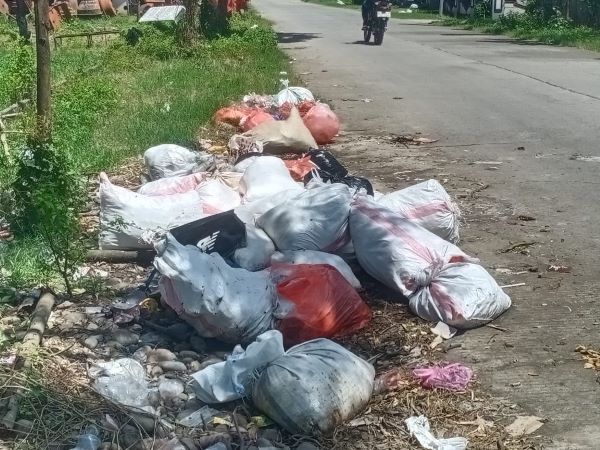 Sampah Tak Diangkut Selama Dua Pekan, Warga Pattalassang Desak DLHP Takalar Bertindak